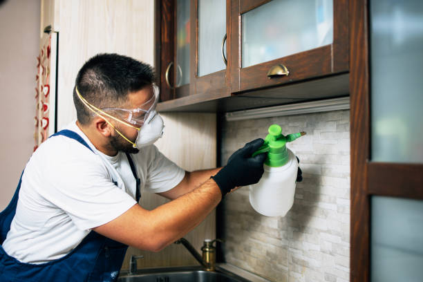 Best Pest Control Near Me in Watchung, NJ